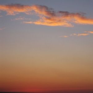 Meet your Posher, Lydia